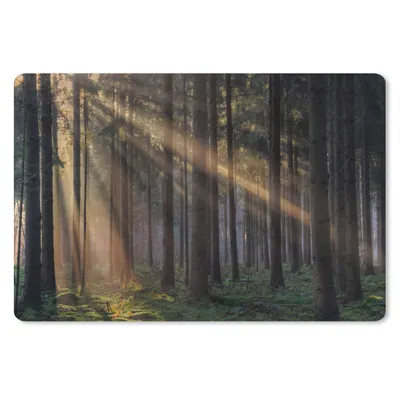 Produktbild von MuchoWow® Schreibtischunterlage Bäume - Wald - Sonne - Pflanzen 60x40 cm - XXL Mauspad - Großes Mauspad