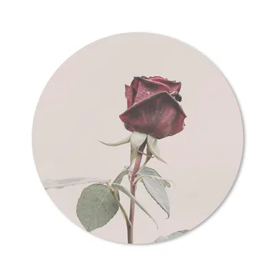 Produktbild von MuchoWow® Mauspad Mousepad Blumen - Rot - Rosen - Grün 40x40 cm - Mousepads - Maus Mat - Pad - Mausunterlage - Schreibtisch Accessoires