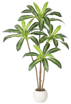 Immagine prodotto di Albero di drago artificiale - Pianta da interno in vaso - Altezza 180 cm - Pianta artificiale tropicale - Ideale per la decorazione degli ambienti interni - Materiale: plastica - Vaso bianco di grandi dimensioni