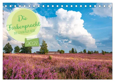 Produktbild von Die Farbenpracht der Lüneburger Heide (Tischkalender 2027 DIN A5 quer), CALVENDO Monatskalender