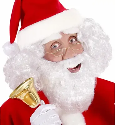 Immagine prodotto di Barba bianca completa