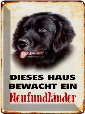 Produktbild von vianmo Blechschild 40x30 cm Hund dieses Haus bewacht Neufundländer