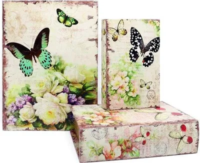 Productafbeelding van Set van 3 boekenplanken met verborgen vakje - Vintage stijl (vlinder)