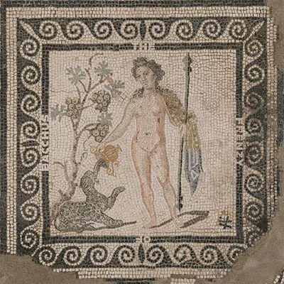 Immagine prodotto di The Frenzy Of Bacchus