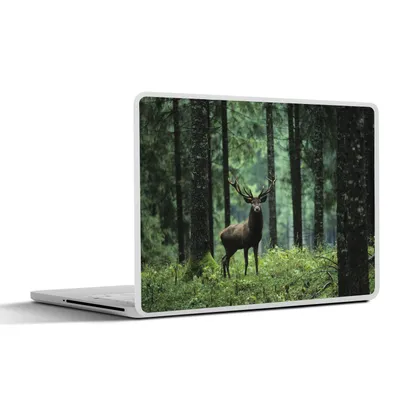 Produktbild von MuchoWow® Laptop Aufkleber Sticker Cover Hirsche - Wald - Natur 40x30 cm - Laptop Dekoration - Selbstklebend