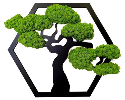 Produktbild von Moosbilder in Baumform - Wanddekoration aus natürlichen Materialien - 50 cm