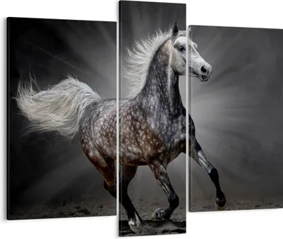 Produktbild von Bild auf Leinwand - Leinwandbild - Pferd Tier Natur - 95x80cm - Wand Bild - Wanddeko - Wandbilder - Leinwanddruck - Bilder - Kunstdruck - Wanddekoration - Leinwand bilder - Wandkunst - CB95x80-3593