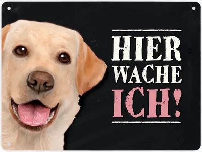 Produktbild von Hier wache ich! Metallschild XL mit Labrador Motiv Schild Blechschild