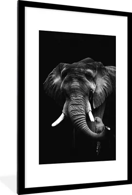 Produktbild von MuchoWow® Gerahmtes Poster Elefant mit Papagei vor schwarzem Hintergrund - schwarz und weiß 60x90 cm - Poster mit Schwarzem Bilderrahmen Wandposter Rahmen Foto Bilder - Dekoration - Wandposter Wohnzimmer - Hochwertig
