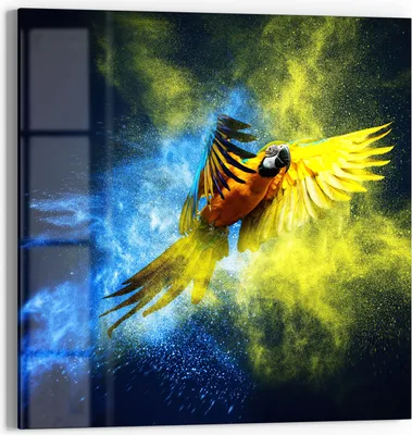 Produktbild von DEQORI Glasbild Echtglas 50x50 cm 'Papagei in Farbwolke' Wandbild Bild modern Deko