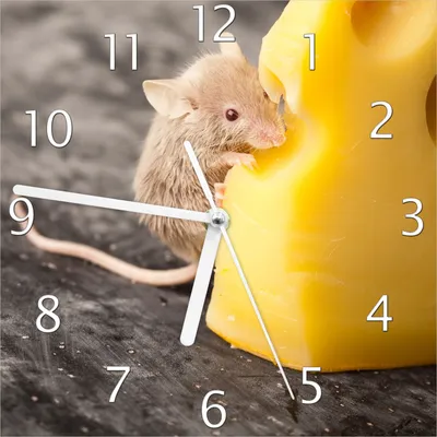 Produktbild von Wallario Design Wanduhr Süße Maus knabbert an einem Käse in der Küche aus Echtglas, Größe 20 x 20 cm