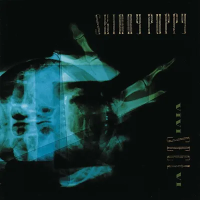 Zdjęcie produktu dla Skinny Puppy - VIVIsectVI (Reissue) (LP)