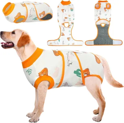 Produktbild von Hundebody nach Op und Kastration, Atmungsaktiv mit Leckschutz, Orange L (1er