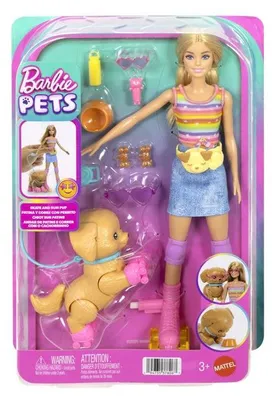 Imagen del producto de Muñeca Barbie y su cachorro con patines - Incluye 16 accesorios - A partir de 3 años