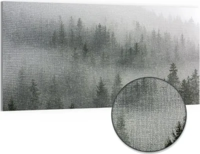 Produktbild von DEQORI Hybrid Leinwand Bild 100x50 cm 'Nebelwaldmystik' Wandbild Glas flach modern