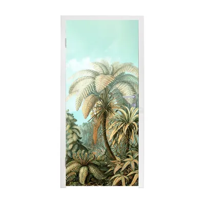 Obrázek produktu pro MuchoWow® Plakát na dveře - Filicinae - Haeckel - Staří mistři - 205x75 cm - Samolepicí fólie na dveře