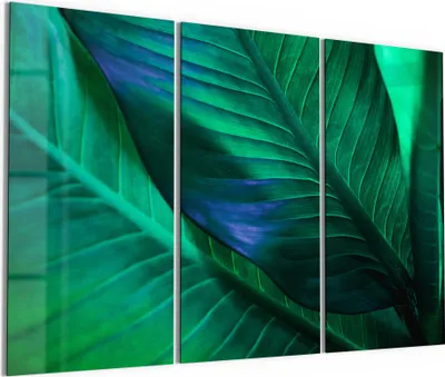 Produktbild von DEQORI Glasbild Echtglas 3x50x100 cm 'Tropenblattstruktur' Wandbilder XXL groß