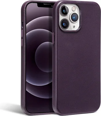 Produktbild von Schutzhülle für iPhone 14 Pro Max mit Magsafe Hülle, mit lackierter Ledertasche