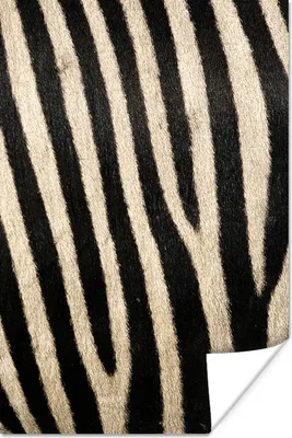 Produktbild von MuchoWow® Poster Tiere - Zebra - Muster 120x180 cm - Kunstposter