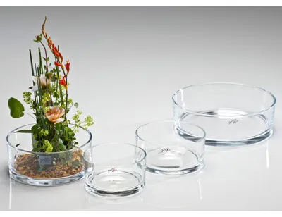 Zdjęcie produktu dla Miska szklana Miska dekoracyjna Sandra Rich AUTOMATIC seria okrągła 19cm