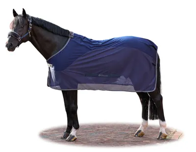 Immagine prodotto di Raffreddatore da competizione Bucas Show-Line