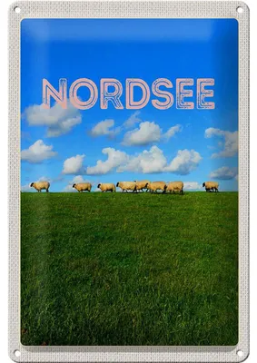 Produktbild von Blechschild Reise 20x30cm Nordsee Wolken Wiese Schafe Natur