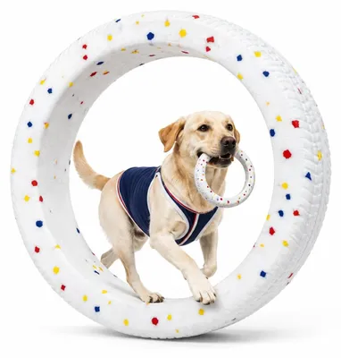 Productafbeelding van Hondenspeelgoedring - Robuust kauwring voor honden - Wit