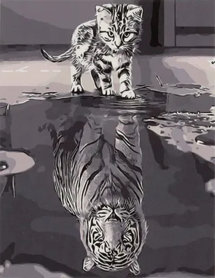 Produktbild von Malen nach Zahlen Malen nach Zahlen Set 40x50cm - Katze/Tiger auf Leinwand
