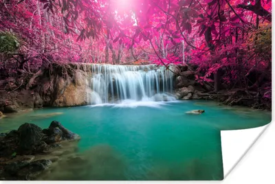 Produktbild von MuchoWow® Poster Wasserfall - Baum - Rosa - Natur 180x120 cm - Fotoplakat