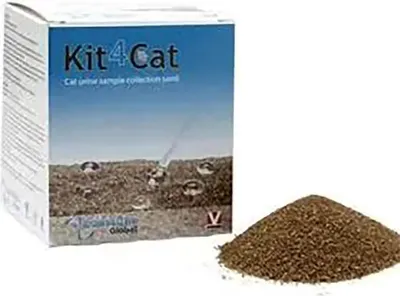 Produktbild von Kruuse Kit4cat Sandprobe 300g 3 Einheiten Durchsichtig Durchsichtig One Size