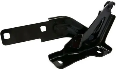 Obrázok produktu pre Kapota motora - diely BLIC 6802-00-9515451P