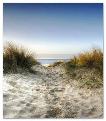 Produktbild von Wallario Herdabdeckplatte aus Glas, Größe 52 x 60 cm 1-teilig, Motiv Weg durch die Dünen zum Strand am Meer