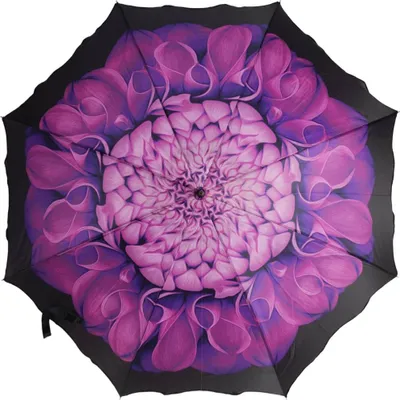 Produktbild von Elegante Stockschirme mit Blumenmuster – Stabil, Windfest und Stilvoll Motiv 1