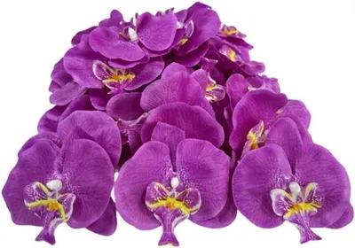 Productafbeelding van Kunst Orchidee Bloemhoofden - Zijden Orchideeën - Decoratie Maken - Fijn Afgewerkt - 50 stuks - Diep Paars