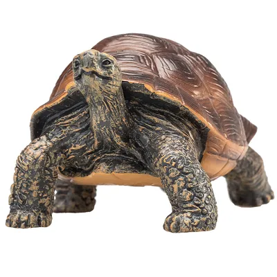 Produktbild von Animal Planet Riesenschildkröte