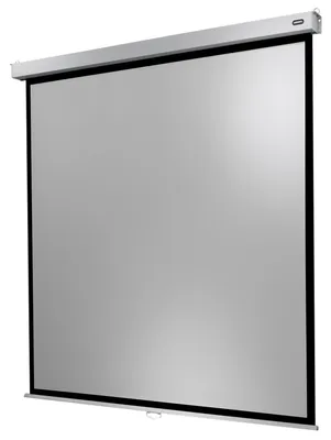 Image de celexon Leinwand Rollo Professional Plus 200 x 200 cm - 111"