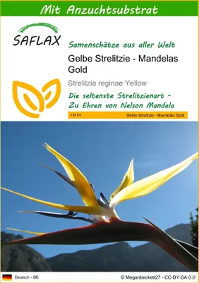 Produktbild von SAFLAX - Gelbe Strelitzie - Mandelas Gold - 4 Samen - Mit keimfreiem Anzuchtsubstrat - Strelitzia reginae Yellow