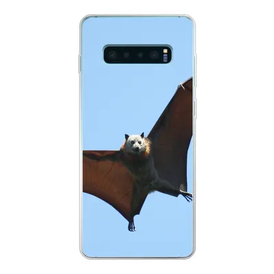 Produktbild von MuchoWow® Handyhülle Schutzhülle Hülle für Samsung Galaxy S10 Plus Fledermaus - Luft - Flügel Silikon Softcase Handy Hülle - Schutzhülle