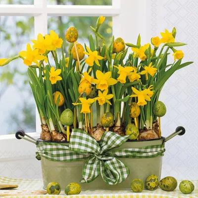 Produktbild von Ambiente Servietten "Daffodils"