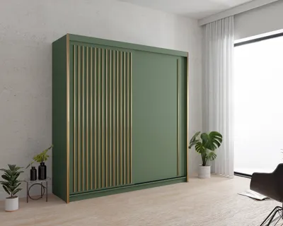 A green wardrobe with golden lamellas in a room with a window and plants.