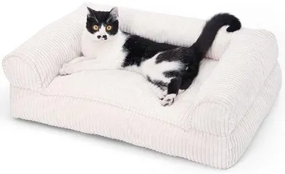 Productafbeelding van Famanu Katzenbank – Corduroy kattenbed met afneembare, wasbare hoes – Antislipbodem voor kleine honden