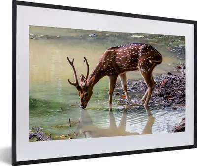 Produktbild von MuchoWow® MuchoWow® Gerahmtes Poster Hirsche - Geweihe - Wasser 60x40 cm - Poster mit zchwarzem Bilderrahmen - Schlafzimmer - Plakat in Rahmen - Drucken