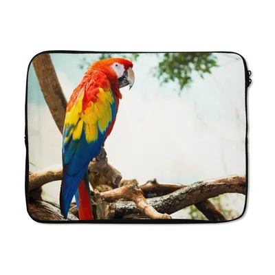 Produktbild von MuchoWow® Laptop Hülle 17 Zoll Laptoptasche Papagei - Vogel - Regenbogen - Tropisch - Zipper - Schutzabdeckung