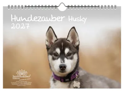 Produktbild von Huskyzauber DIN A4 Kalender für 2027 Welpen und Hunde - Seelenzauber