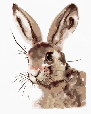 Zdjęcie produktu dla Zuty - Painting by Numbers - ADORABLE KING, 40x50 cm, bez ramy i bez płótna