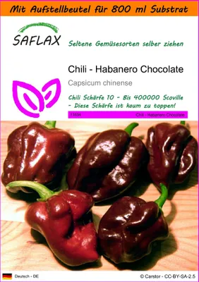 Produktbild von SAFLAX - Garden in the Bag - Chili - Habanero Chocolate - 10 Samen - Mit Anzuchtsubstrat im praktischen, selbst aufstellenden Beutel - Capsicum chinense