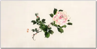 Produktbild von Coloray - Bild aus Glas - Glasbilder - 100 x 50 cm - Küche Wanddekoration Dekoration Wohnzimmer Gehärtetes Glas Glasblock mit Bild - Asiatische Blumen
