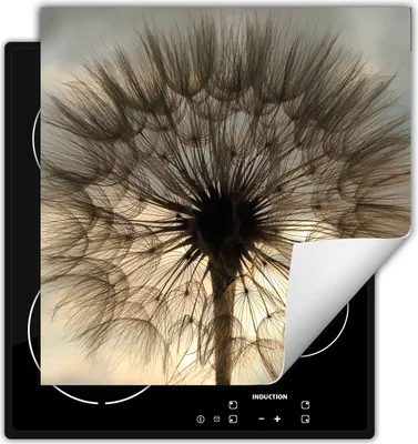 Produktbild von DarHaus Herdabdeckplatte 50x52 cm Anti Rutsch Matte Aufrollbar, Blume