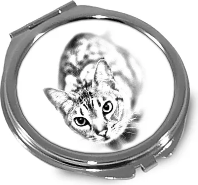 Obrázek produktu pro Art-Dog Kapesní zrcátko – Ocicat