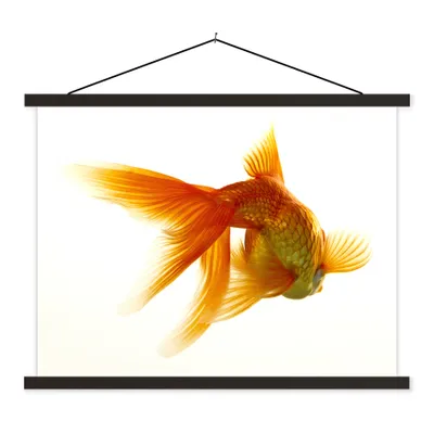 Produktbild von MuchoWow® Textilposter Goldfisch - Meerestiere - Weiß 40x30 cm mit schwarzem Rahmen - Dekorationen
